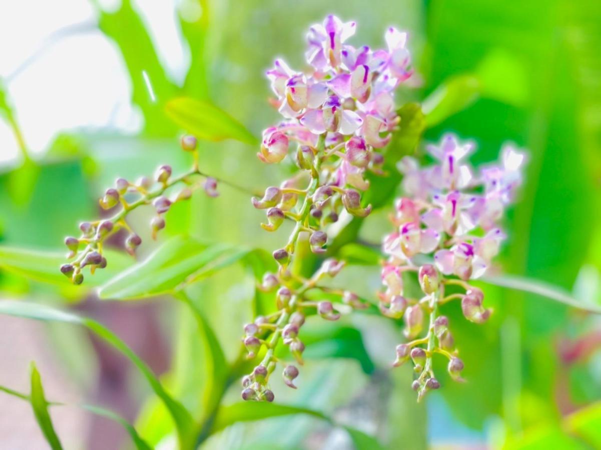 Kannapat House Ban Nong Thale ภายนอก รูปภาพ